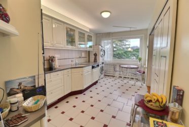 Magnifique appartement avec vue Lac en viager occupé sans rente