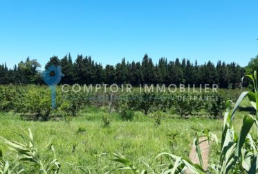 FRANCE: Magnifique villa contemporaine en viager occupé avec rente.