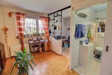 Grande maison familiale en viager occupé sans rente limité à 5 ans