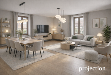 Bel appartement en viager occupé sans rente