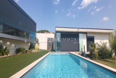 FRANCE: Magnifique villa contemporaine en viager occupé avec rente.