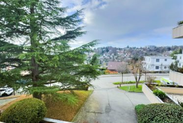 Très bel appartement avec vue Lac en viager occupé sans rente