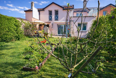Superbe maison en viager occupé sans rente