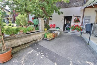 Bel appartement en viager occupé sans rente