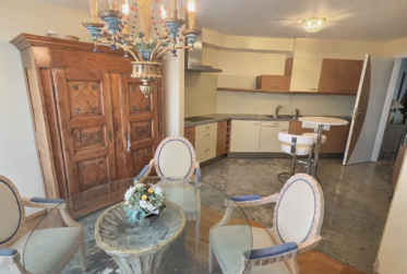 Très joli appartement avec vue sur le Lac en viager occupé sans rente