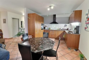 Superbe appartement en viager occupé sans rente avec piscine et vue Lac