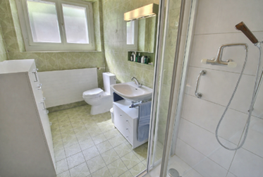 Bel appartement en viager occupé sans rente