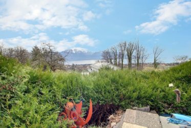 Superbe maison individuelle avec vue Lac en viager occupé sans rente