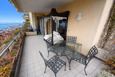 Très joli appartement avec vue sur le Lac en viager occupé sans rente