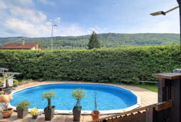 Grande maison de 2 logements avec piscine en viager occupé sans rente