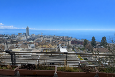 Très joli appartement avec vue sur le Lac en viager occupé sans rente