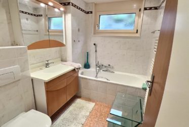 Très joli appartement avec vue sur le Lac en viager occupé sans rente