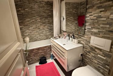 Belle maison en viager occupé sans rente