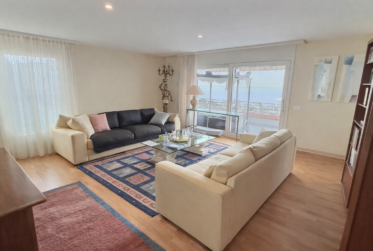 Très joli appartement avec vue sur le Lac en viager occupé sans rente