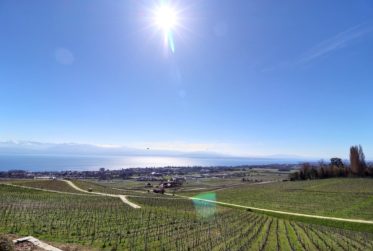 Magnifique maison en viager occupé sans rente avec splendide vue Lac