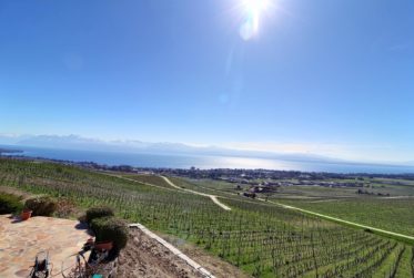 Magnifique maison en viager occupé sans rente avec splendide vue Lac
