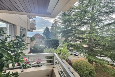Très bel appartement avec vue Lac en viager occupé sans rente