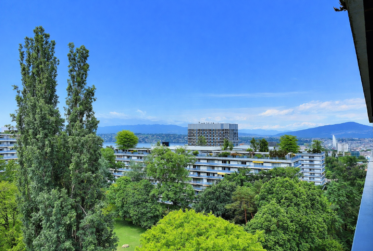 Superbe appartement en étage élevé avec piscine en viager occupé sans rente