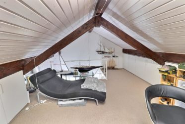 Magnifique maison en viager occupé sans rente avec splendide vue Lac