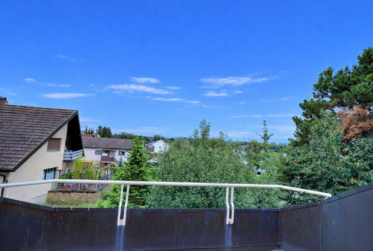 Très grande maison familiale en viager occupé sans rente