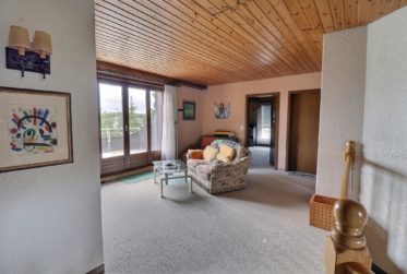 Très grande maison familiale en viager occupé sans rente