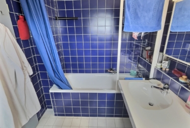 Deux magnifiques appartements en viager semi-occupé sans rente avec rendement.