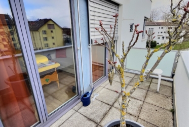 Deux magnifiques appartements en viager semi-occupé sans rente avec rendement.