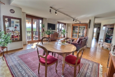 Magnifique duplex en attique en viager occupé sans rente