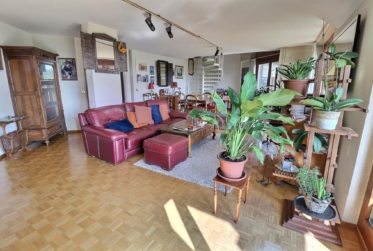 Magnifique duplex en attique en viager occupé sans rente
