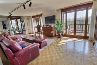 Magnifique duplex en attique en viager occupé sans rente