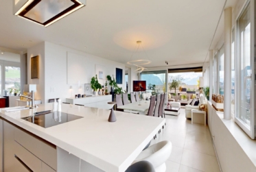 Magnifique appartement en viager occupé sans rente limité à 5 ans
