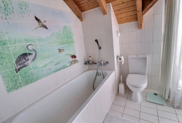 Magnifique duplex en attique en viager occupé sans rente
