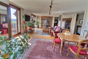 Magnifique duplex en attique en viager occupé sans rente