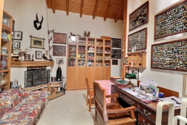 Magnifique duplex en attique en viager occupé sans rente