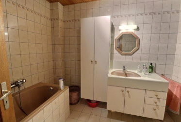 Jolie maison de village en viager occupé sans rente