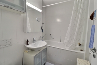 Magnifique attique en viager occupé sans rente