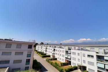 Magnifique attique en viager occupé sans rente