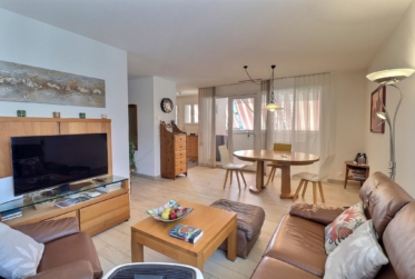 Magnifique attique en viager occupé sans rente