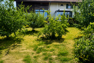RESERVÉ Grande maison en viager semi-occupé sans rente avec grand potentiel