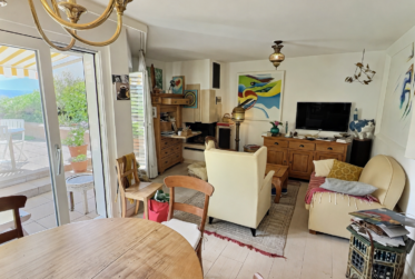 RESERVÉ Magnifique appartement en viager occupé sans rente avec accès direct au Lac