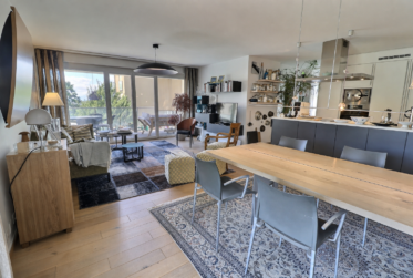 Très bel appartement en viager occupé sans rente avec piscine et vue lac