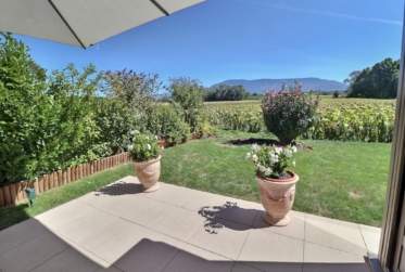 Magnifique appartement en rez de jardin vue dégagée sur la campagne en viager occupé sans rente