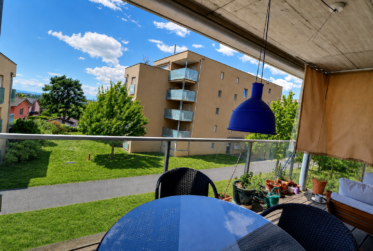 Très bel appartement en viager occupé sans rente avec piscine et vue lac