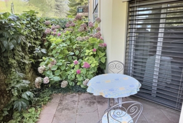 RESERVÉ Magnifique appartement en viager occupé sans rente avec accès direct au Lac
