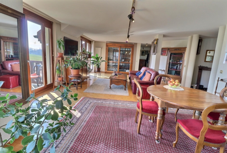Magnifique duplex en attique en viager occupé sans rente
