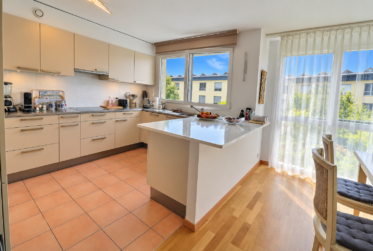 Magnifique appartement en viager occupé sans rente
